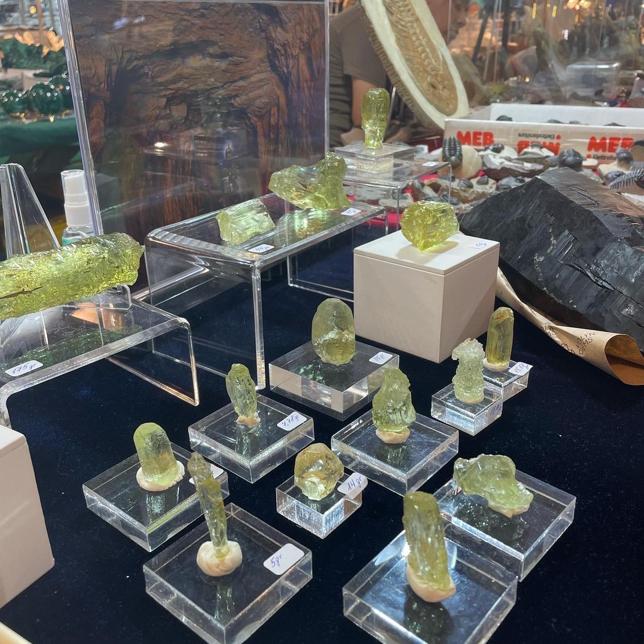 The company Volyn Gems  participated in the international mineralogical exhibition Sainte-Marie-aux-Mines, France.